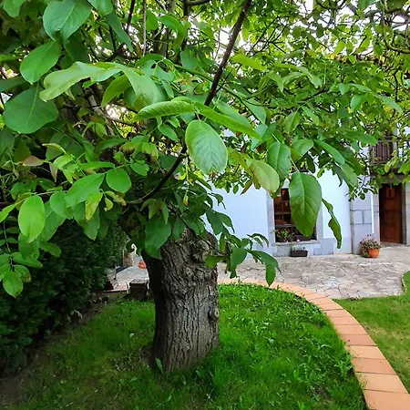 Casa Dario - Jardin Cerrado Y Chimenea En Llanes בית נופש Rales (Llanes)